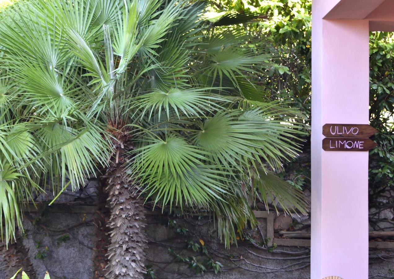 פורטופראיו Villa Fiore Apartments מראה חיצוני תמונה